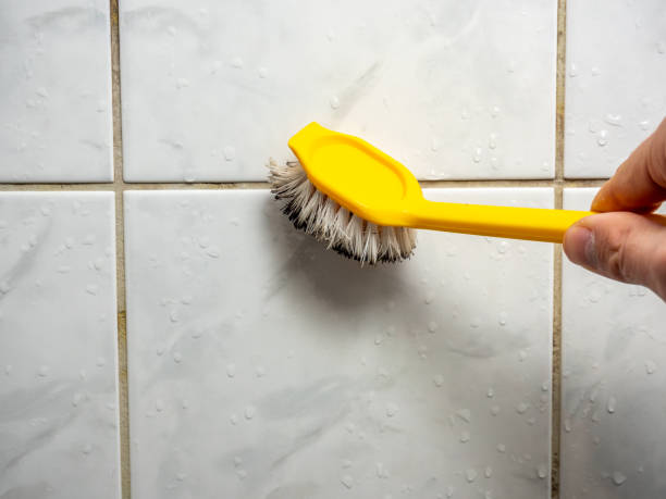 Best Mold Remediation  in Fredericksburg, PA