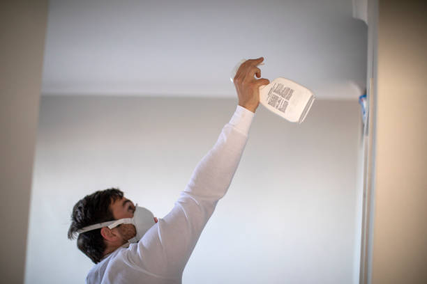 Best Office Mold Removal Services  in Fredericksburg, PA