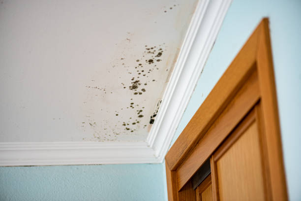 Water Damage Restoration in Fredericksburg, PA