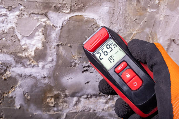 Best Mold Inspection  in Fredericksburg, PA