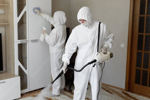Mold Removal Process in Fredericksburg, PA