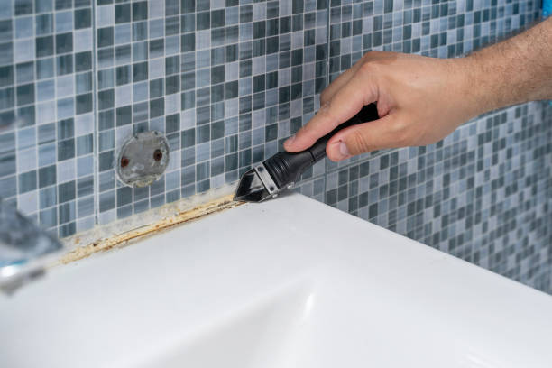 Best Fast Mold Removal  in Fredericksburg, PA