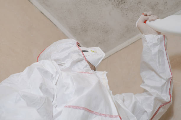 Best Black Mold Removal  in Fredericksburg, PA