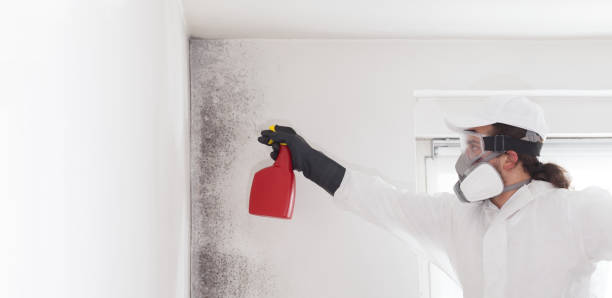 Best Professional Mold Removal  in Fredericksburg, PA