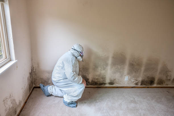 Best Mold Remediation Services  in Fredericksburg, PA