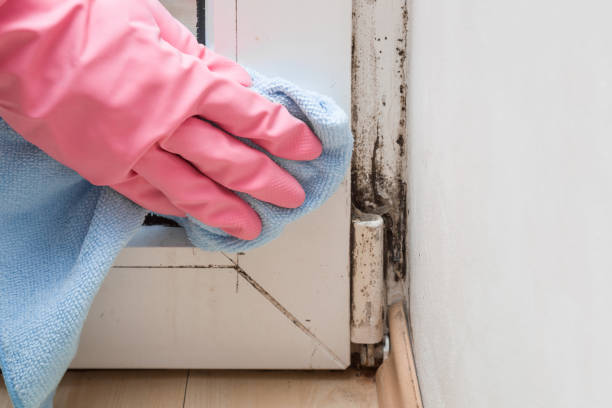 Best Commercial Mold Removal  in Fredericksburg, PA