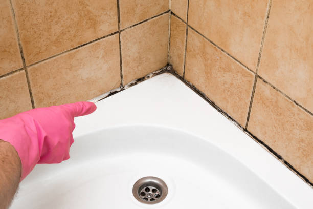 Best Mold Testing  in Fredericksburg, PA